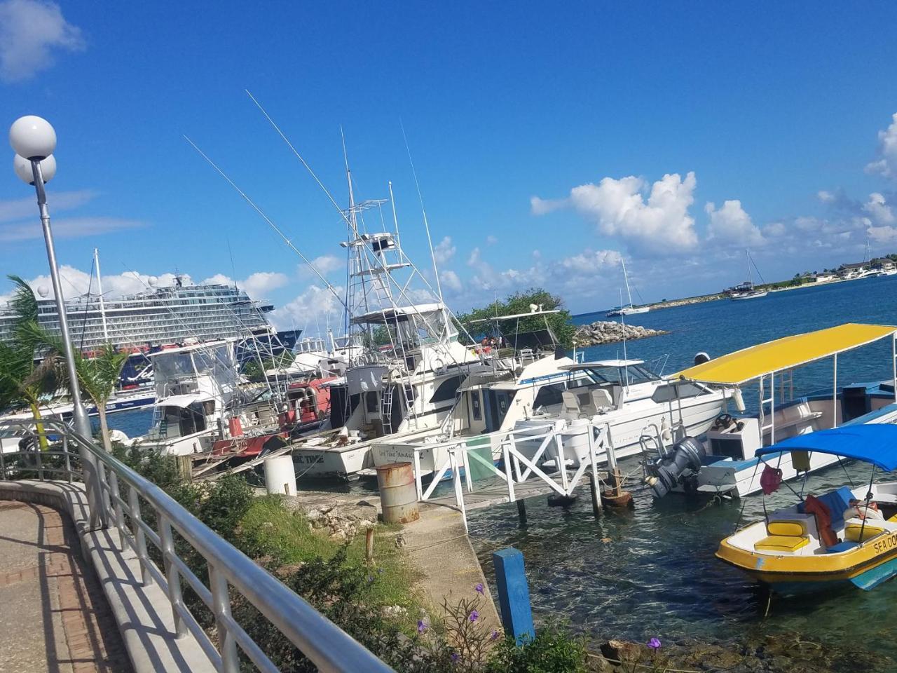 Rosi Ocean Sand Hotel Apt Ocho Rios Dış mekan fotoğraf